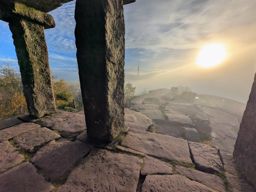 rando  Colbery Kohlberg Donon