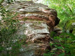 Marche autour de Haselbourg