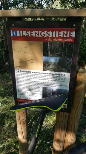 Ilsengstiene innimellom helt konge