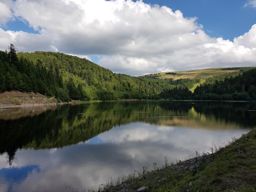Mtb VTT grande boucle de la bresse