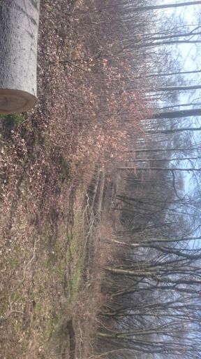 Bitte mal bei Zeiten wegräumen