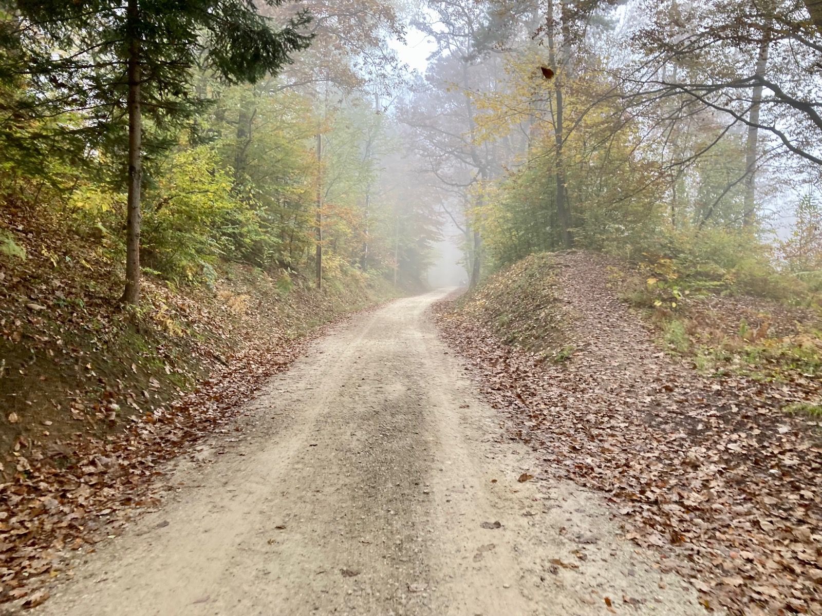 Ride Image 5