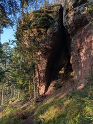 Tour dans forêt de Taintrux avant la séance d’escalade