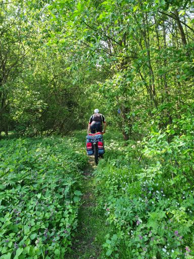 Здоровье - Чуприяновка.