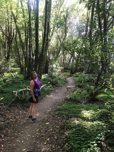 6.5 mile river hike trail....