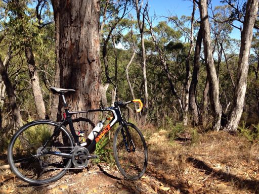 Solo-serenity during my warm-down...SO many Kookaburras!!