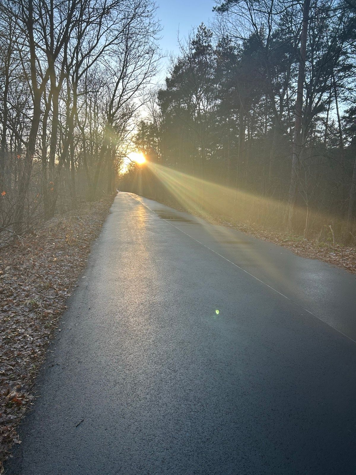 Die Sonne, die Krone und ich:-))