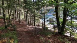 pierre-percée novion