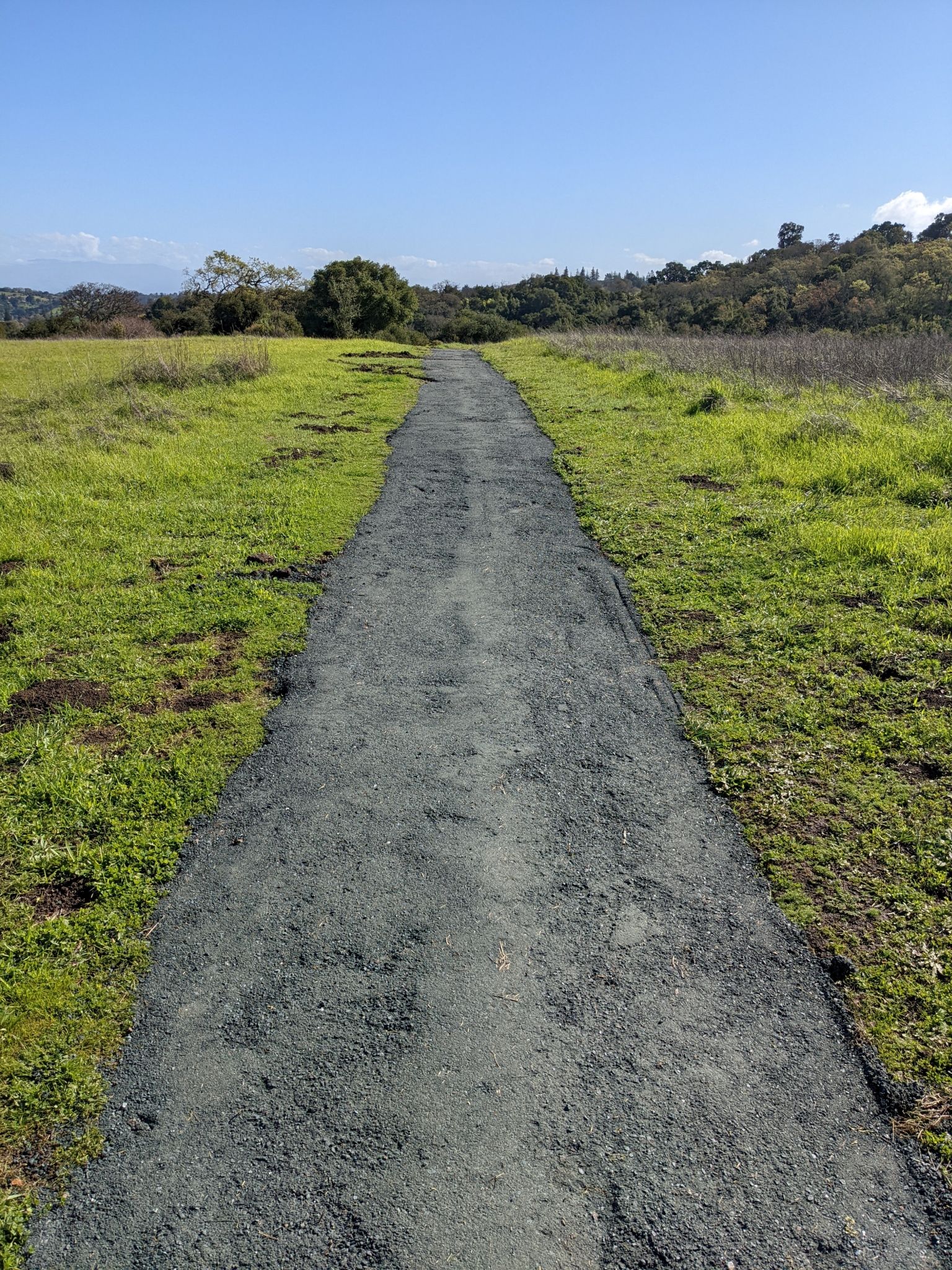 Continuing coverage of the 2026 treadwork on Woodland Star Trail; at the top it looks finished.