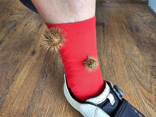 How did these get here?