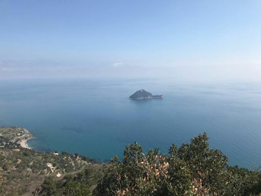 Foto: Christina Kollmann 😊