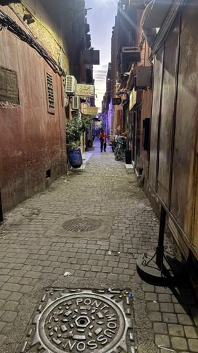 Off the main Jemaa El-fnaa square there’s  a net work of narrow streets called Souk’s. Markets, hotels and small cafes a plenty.