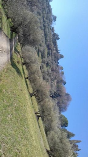 ...Via Valloni 😊😊😊