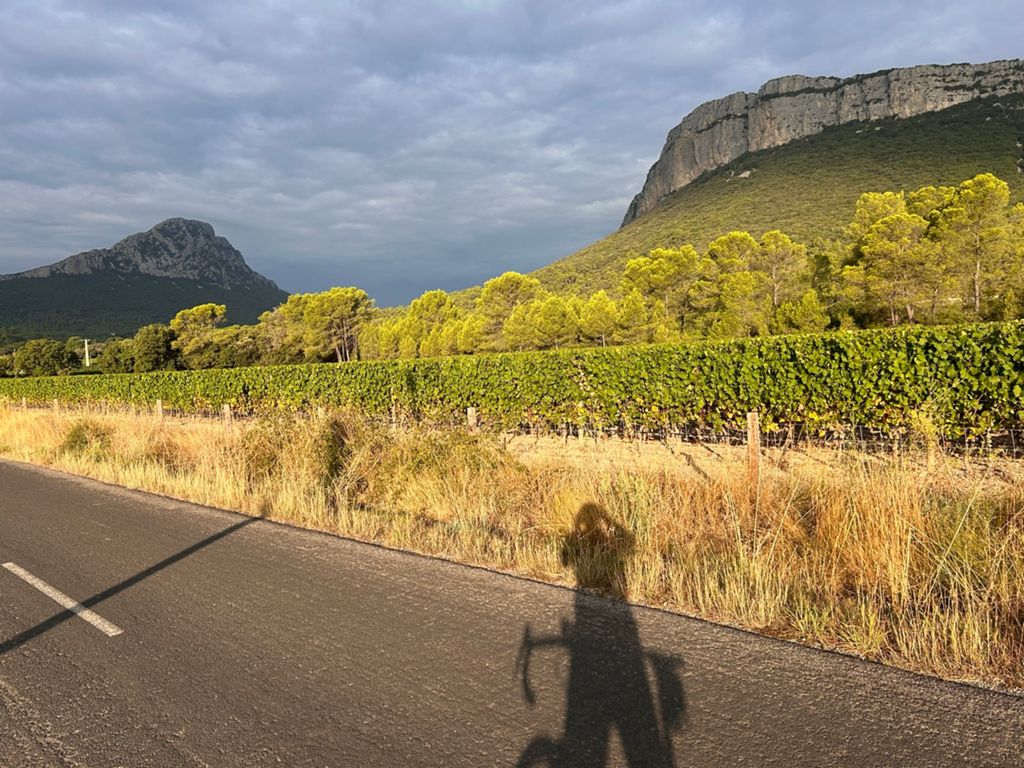 PIC SAINT LOUP 2025, photo 15
