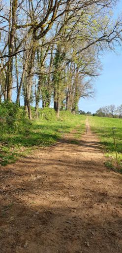 Attention le fil🤪