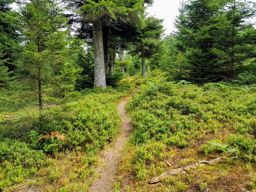 Val aux deux Rougimont