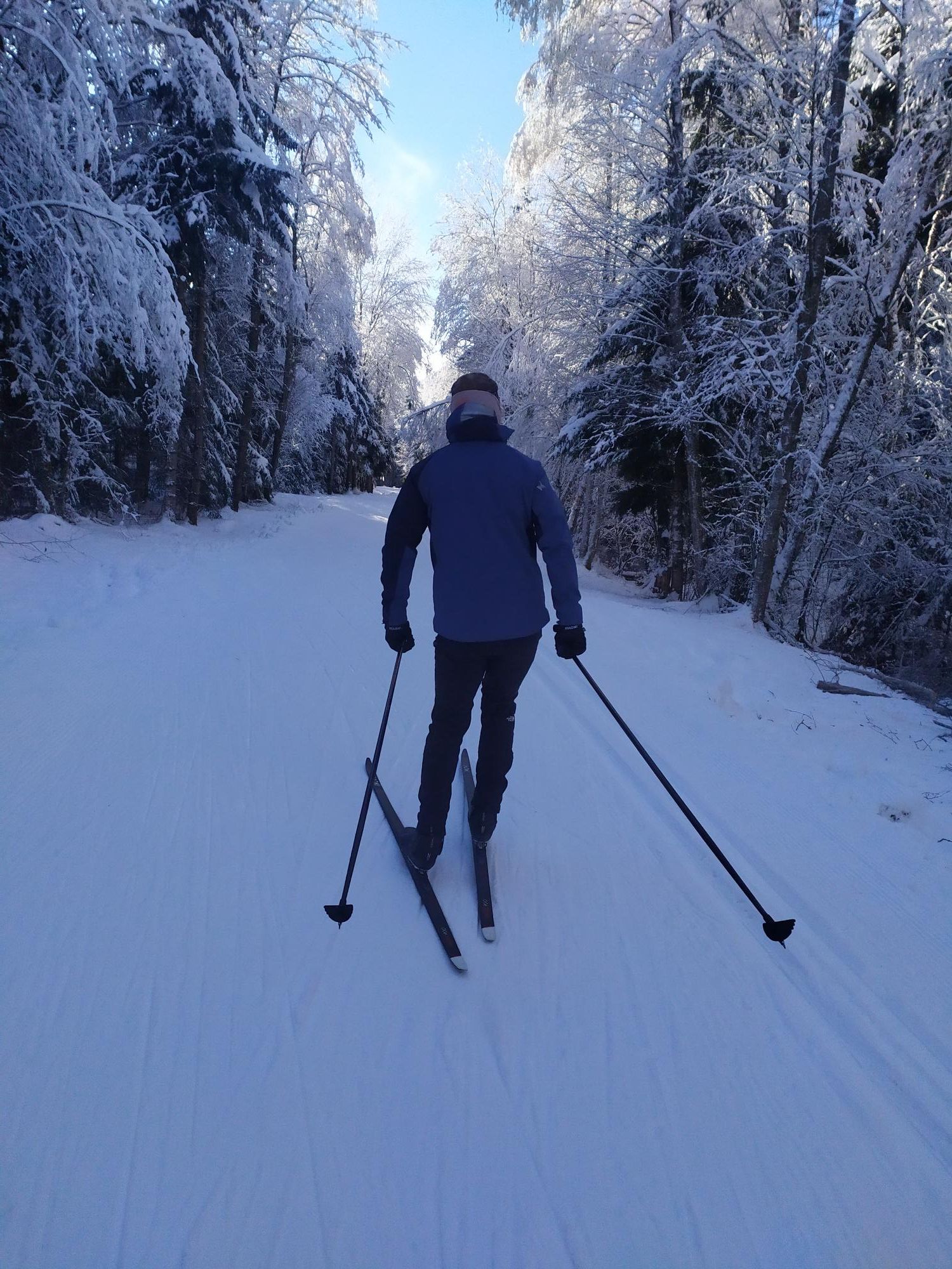 Strava Nordic Ski Activity