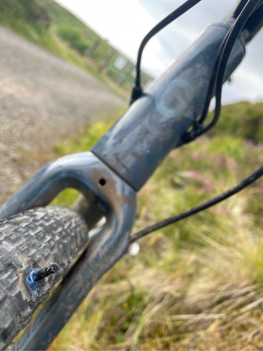 Thank the meerkat for Dynaplugs