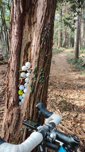 🏌️OB多すぎ😅