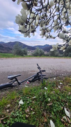 Der Hügel Marostica oben