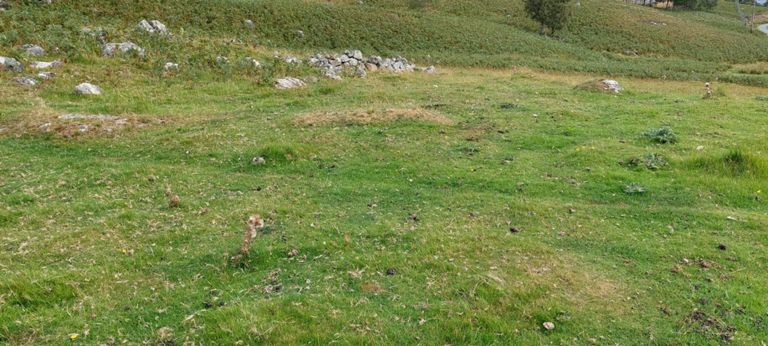 Range of perspectives - Melvyn Bragg discusses the Highland clearances with 3 academic historians: In Our Time. (2019, December 22). In our time, S20/24: The Highland clearances (chaired by M. Bragg) [BBC Radio 4 broadcast]. YouTube. https://www.youtube.com/watch?v=ARVDM9JP_pU