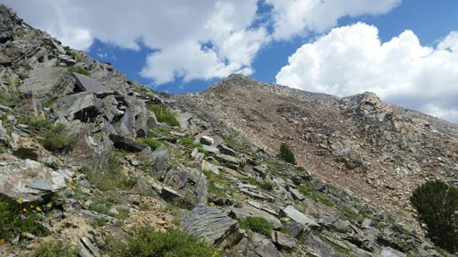 Nearing the summit. 5 minutes later we were in a ferocious thunderstorm and had to get low fast.
