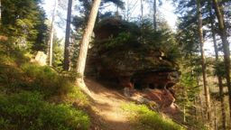 Course à pied l’après-midi