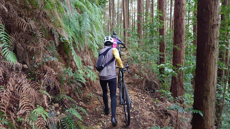 八曽から険道16号へ出るため、いつもは下るシングルトラックを登る。