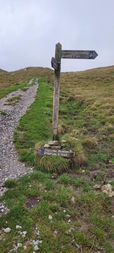 Finger post down but still doing its job 👌 