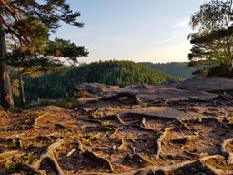 Abreschviller Walscheid