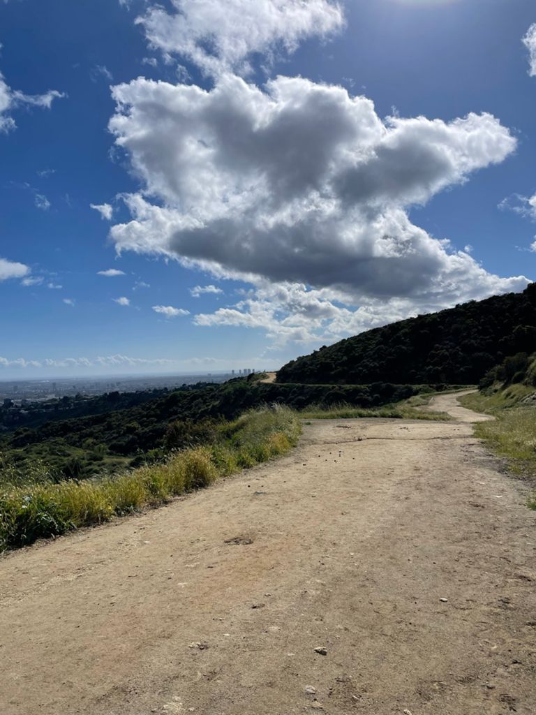 NBB run - Lake Hollywood: фото 43