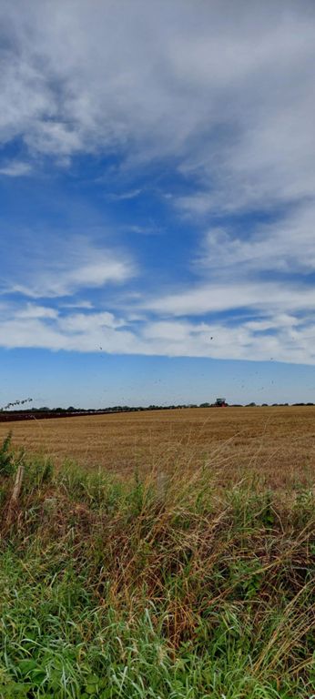 And the beauty of the sky.