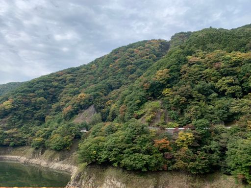 まちまちな感じがキレイ🍁