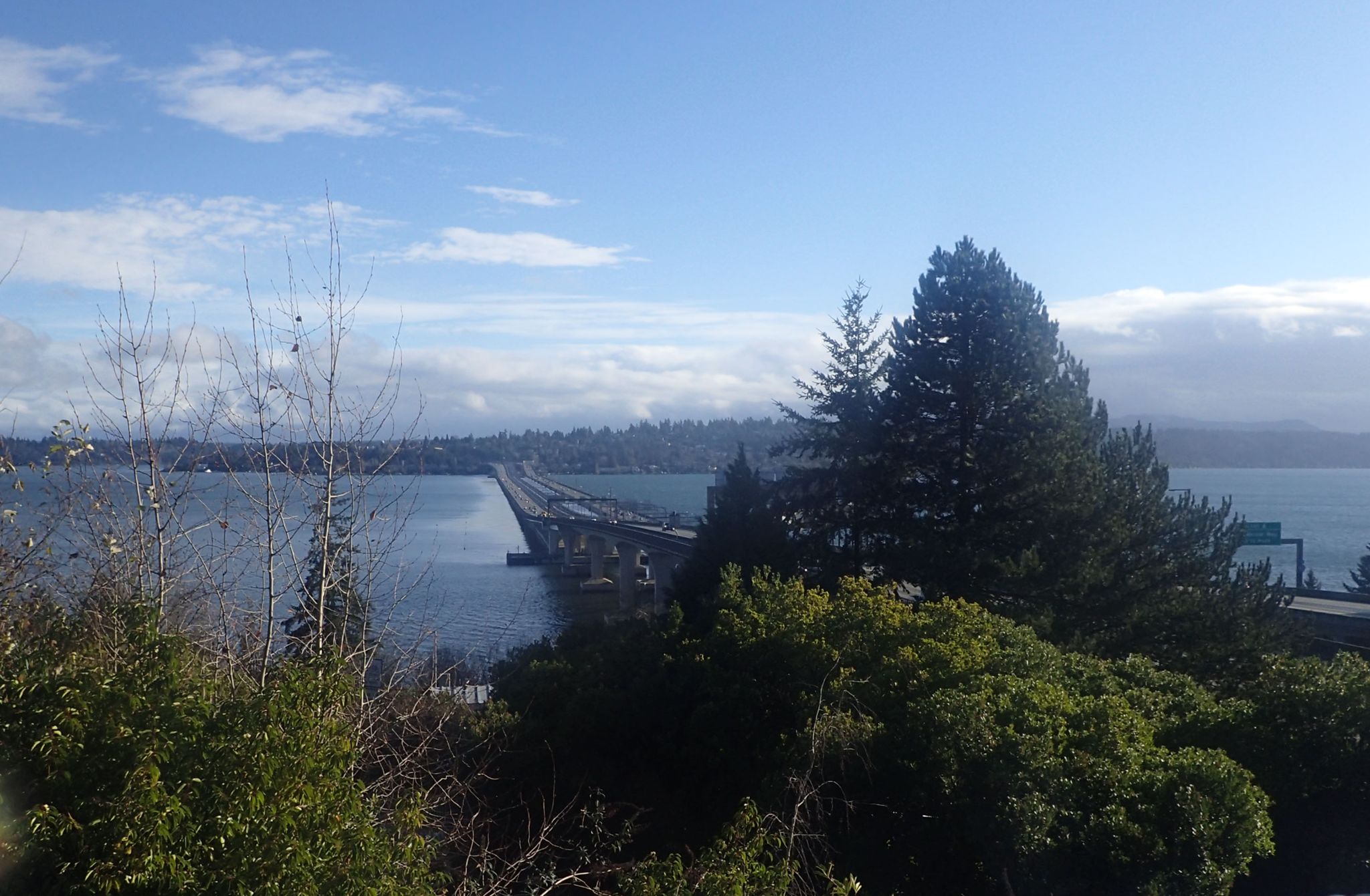 Not bad for Jaunary in Seattle!