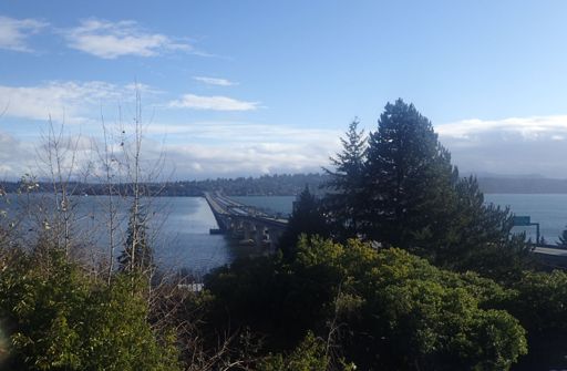 Not bad for Jaunary in Seattle!