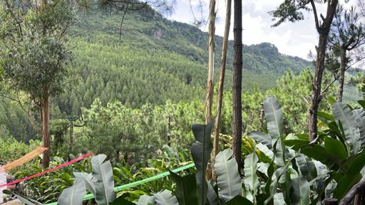 View from the Lodge Maribaya