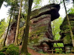 Vtt Ganaux Rambiroche