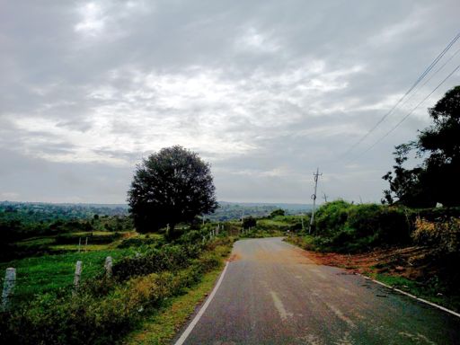 On the way to Thalli