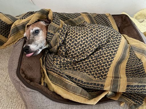 Happy late birthday Irish ☘️ 🥃