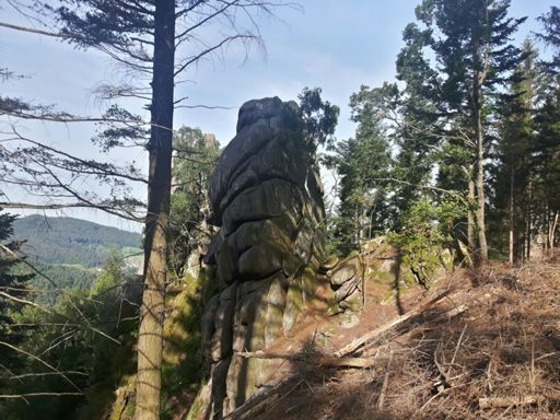 Falkenfelsen Trail