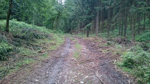 Da war Ende. Zu schwammig für mein Rad.