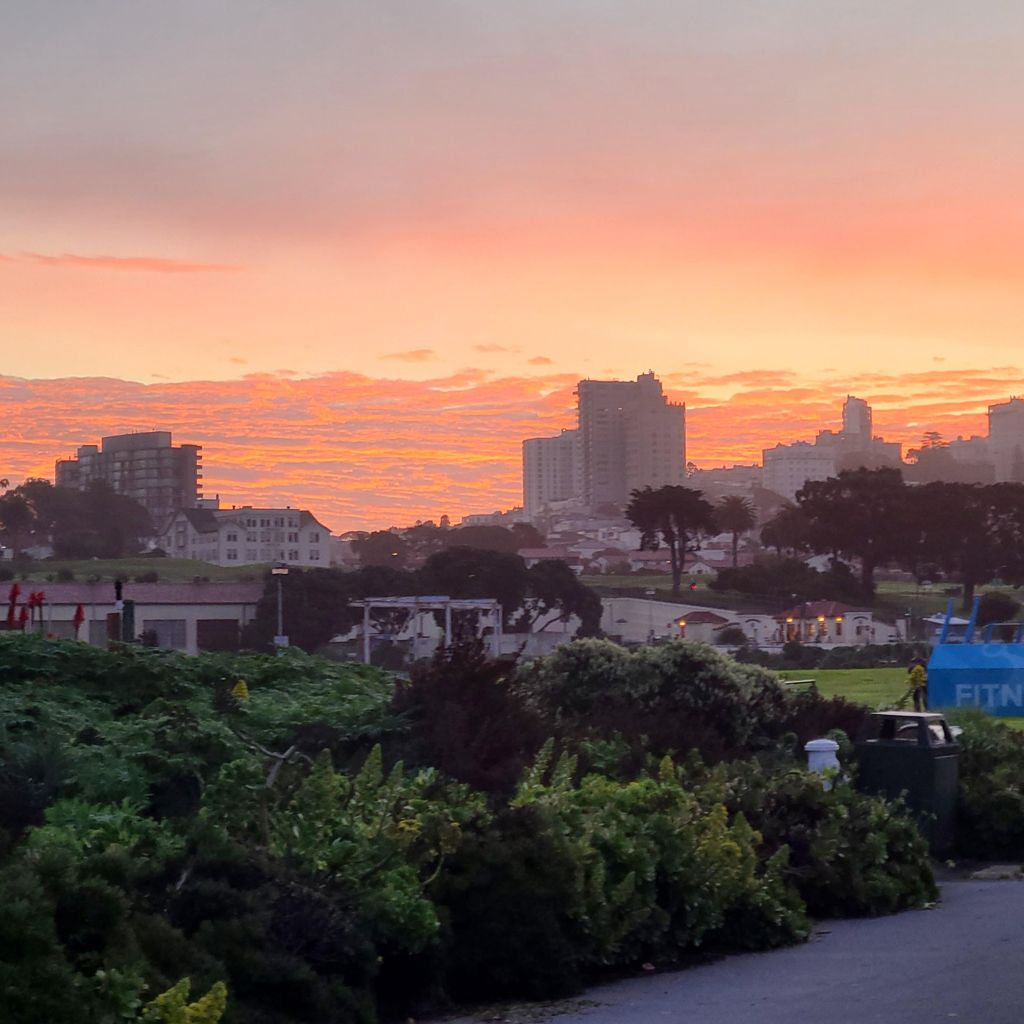 Butterlap (Presidio & Golden Gate Park) photo 21