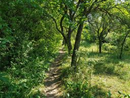 VTT Grendelbruch Rosheim Barr Neuntelstein