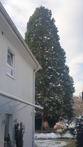 Hofheim am Taunus_ID23765_BM_Cimbernstr. 6.jpg