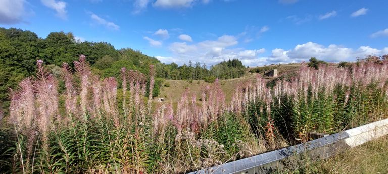 The low-down cream-coloured tunnel, visible through the flowers, and wall, higher on a ridge, on an unclassified road between Castleton and Middleton caught my eye. What are they from?