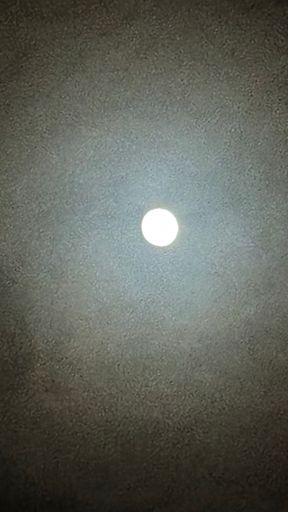 Mit von der Partie bei diesem kalten Spaziergang war der Mond, der immer wieder von Wolken vedeckt wurde. 🌝☁️✨