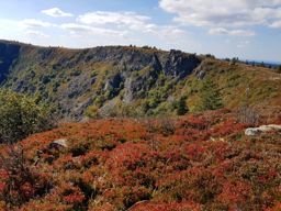 De belles couleurs sur les crêtes