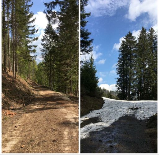 Schleichfahrt von Amdener Höhe bis runter ins Tal 😤 = Schneefeld, Nass u. Seifig vom Morgenregen, Matsch oder wahlweise Nadeln u.Zapfen 😬