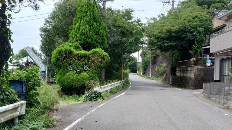 でっかい犬🐶!　...熊🐻じゃないよな...?
