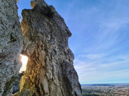 Le crane de Colombier